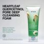 ANUA - Heartleaf Quercetinol Pore Deep Cleansing Foam 150 ml – Image 4