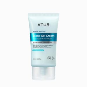 Anua - Kpop Demon Hunter Barrier Reboot Water Gel Cream - Gel-crème réparateur apaisant