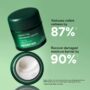 INNISFREE GREEN TEA CERAMIDE CREAM 50ML – Image 2